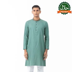 Mens Mint Karchupi Panjabi